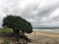 Strand in Byron Bay